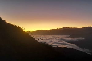 Минка: экскурсия на кофейную плантацию Серро Кеннеди и Ла Виктория