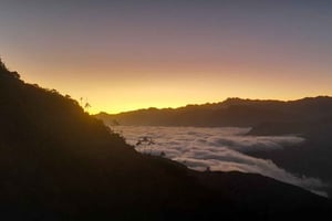 Minca: Cerro Kennedy i wycieczka po farmie kawowej La Victoria