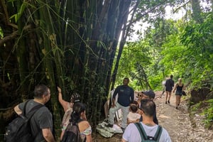 Minca: Trekking intenso nella Sierra Nevada
