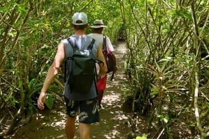 Nuquí & Pangui: Trekking, Fluss, Strände und lokale Geschichte