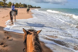 Palomino, Colombia: Horseback Riding Tour on the Beach
