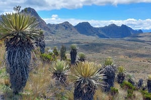Páramo de Sumapaz Trip