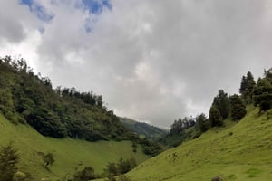 パスト：黒と白のカーニバルツアー（7日間）