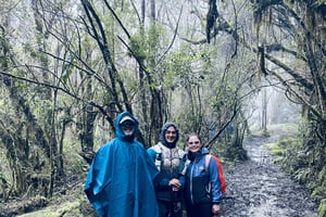 Pijao: Besuch der Frailejones im Páramo de Chilli