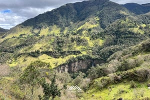 Puracé : Randonnée entre cascades et montagnes