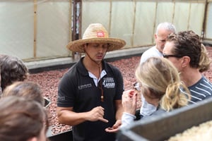 Quimbaya: 'Cacaoreis van boon tot gelukzaligheid' Boerderijtour