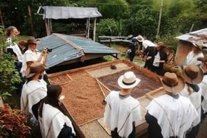 Rundresa i Salento och Cócora + Kaffeodling från Pereira/Armenien