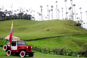 Excursão a Salento, Cocora e Filandia saindo de Pereira ou Armenia