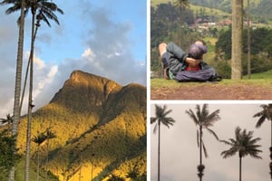 Salento, Cocoran laakso ja kahvikierros