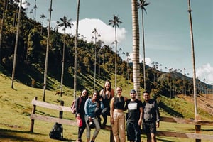 Salento: Cocora Valley Guided Hike with Lunch