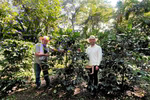Salento: Delad rundtur på kaffefarm