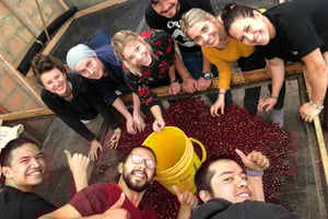 Salento: Coffee Farm Tour with Tasting