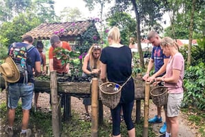 Visita a uma fazenda de café na Finca El Ocaso de Salento