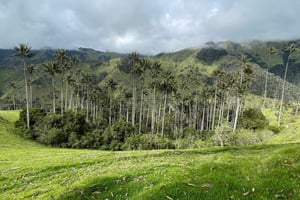 Salento: Tour en Moto a la Reserva La Carbonera con Desayuno