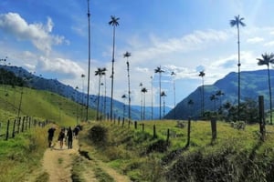 Salento: Recorrido por Salento y el Valle del Cocora