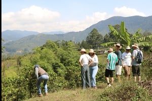 Salento: Traditionell kaffetur med Jeep Willys Ride