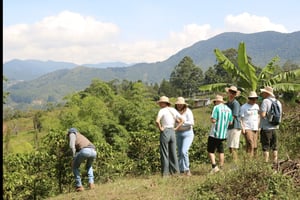サレントジープ・ウィリスで行く伝統的コーヒーツアー