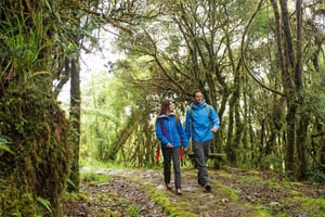 San Agustín: tour guidato di Alto de los Idolos e Piedras
