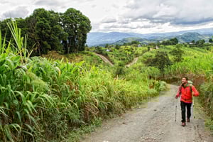 Da San Agustín a Popayán: tour privato di 4 giorni - Caffè e città