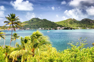 San Andrés: Guidet tur til bugter og mangrover