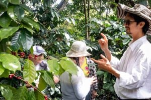Santander: Route för kaffeupplevelser