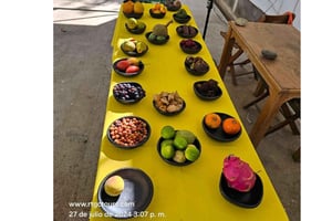 Säsongens frukttur i Santa Fe