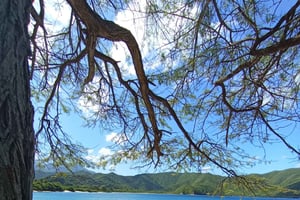 TOUR EN LANCHA RAPIDA AL TAYRONA PLAYA CRISTAL