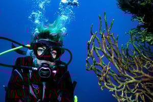 Tayrona National Park: Fun Dives in Caribbean Reefs