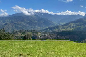 Tur i palmlunden La Carbonera