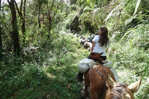 Excursión Privada a Caballo a la Cascada de Tres Chorros