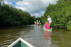 Typical lunch on beach, mangrove tour & fishing with natives