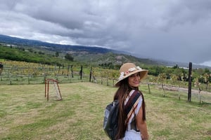Villa de Leyva: tour del vigneto con degustazione di vini e pranzo