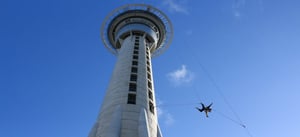 オークランドトップ10