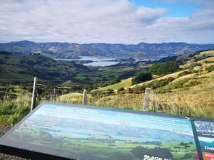 Banks Peninsula