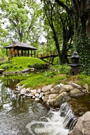 Botanical garden - Jevremovac