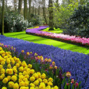 Wycieczki jednodniowe z Amsterdamu: Odkryj holenderską wieś