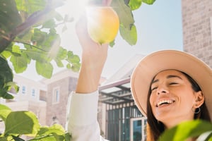 A Montenegro Pioneer in the Luxury Travel focused on Sustainability – The Chedi Luštica Bay