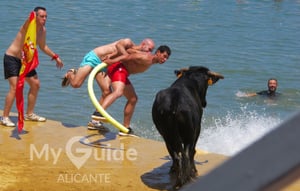 Bous a la mar, Denia