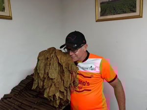 Don Julio Cigars Panama