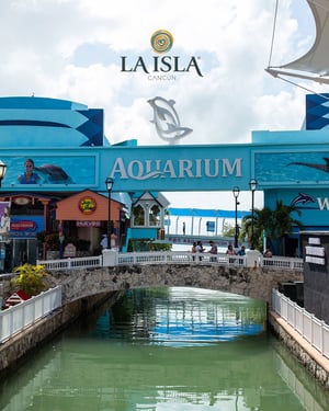 Easter vacations in Cancun What to do?