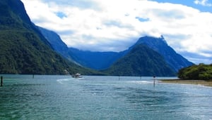 Erkundung von Milford Sound mit Bus, Boot & Flugzeug
