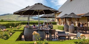 Explorer les meilleurs domaines vinicoles de Waipara