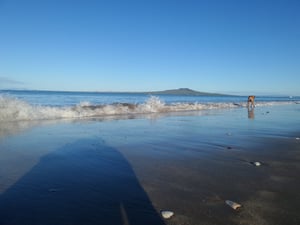 ミルフォードビーチリザーブの探検