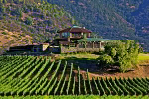 Bli kjent med vingårdene i Chile