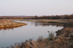 Wunderschöne einheimische Wälder im Chizarira Nationalpark