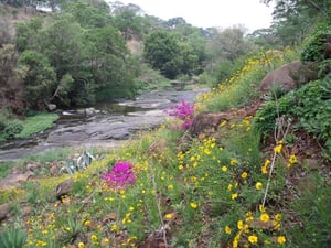 Great Picnic Spots in Harare