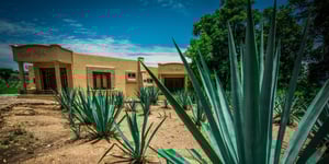 Isla de Holbox - lo más destacado