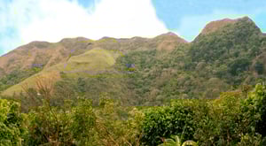 India Dormida ... L'histoire derrière la légende