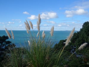 J.F. Kennedy Memorial Park Walk
