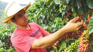 Kaffeezirkelstart im Januar 2019